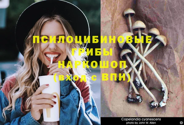 гашик Беломорск