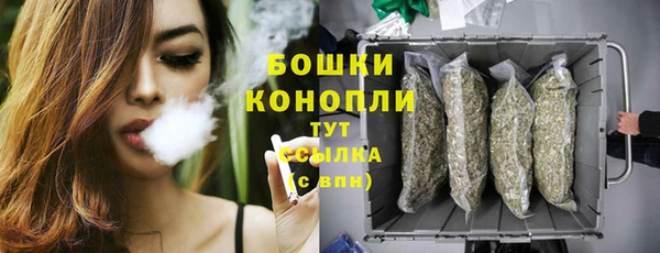 ECSTASY Белокуриха