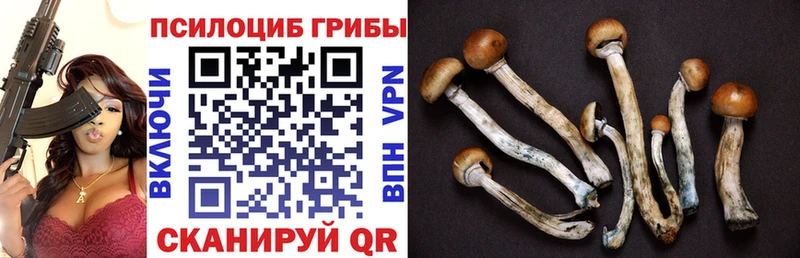 Псилоцибиновые грибы Magic Shrooms цена Верхняя Тура
